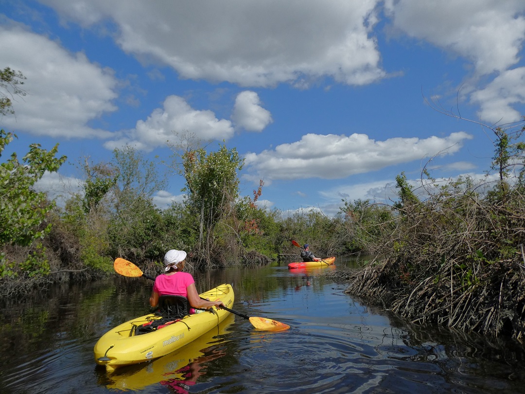 Old Florida Kayak Tour by Kayak Eco Tours, Arcadia, Florida