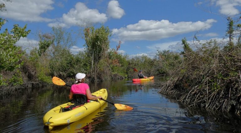 Kayak Eco Tours at Deep Creek Preserve